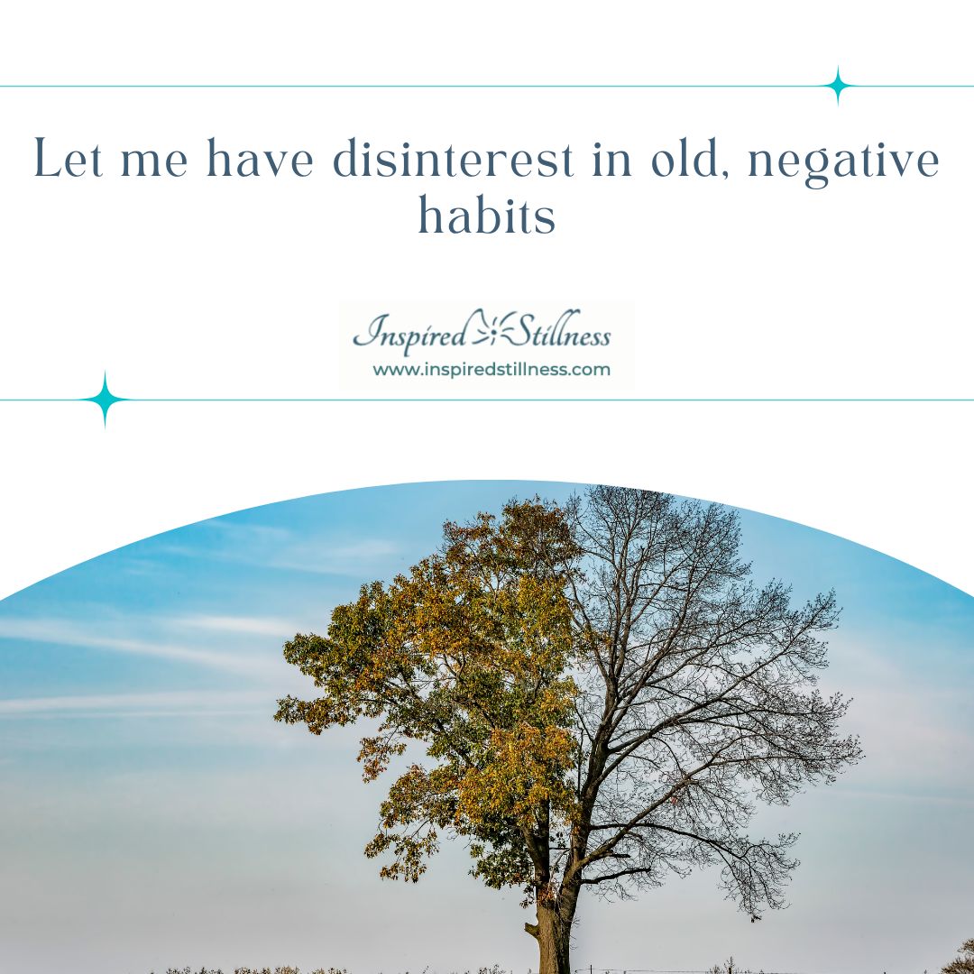 To Disinterest Disinterest | Inspired Stillness | Brahma Kumaris