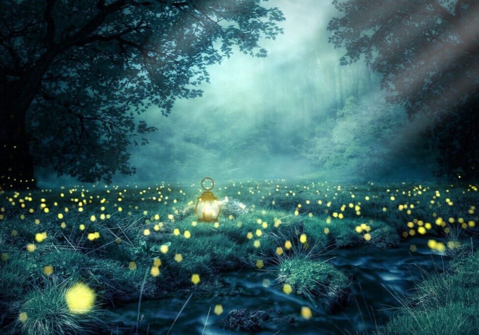 13.04.2020 love and light