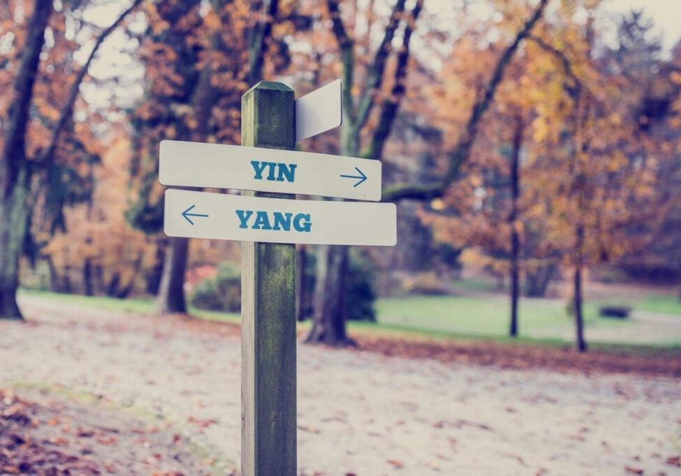 Signpost in a park or forested area with arrows pointing two opposite directions towards Yin and Yang.